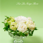 Sur La Neige Rose Green-flower (A) (postcard)