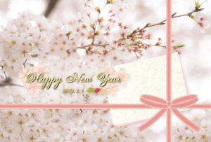 New Year greeting card of the cherry blossoms in 2019. 桜の写真の年賀状, 2019年の年賀状, 平成31年の年賀状